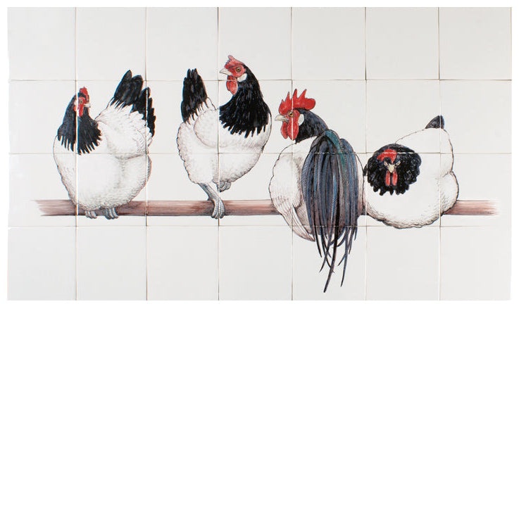 Vier Lakenvelder Kippen op stok 520 x 910 x 8