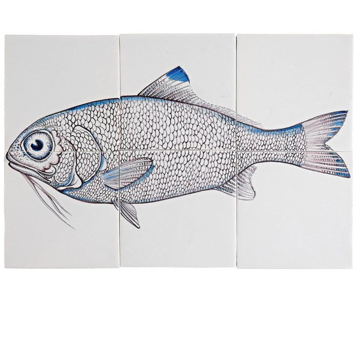 Fisk 5 - 260 x 390 x 8