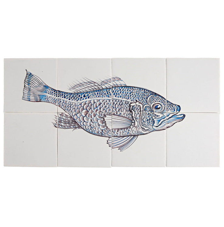 Fisk 3 - 260 x 520 x 8