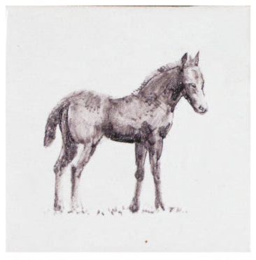 Paard 6 - 130 x 130