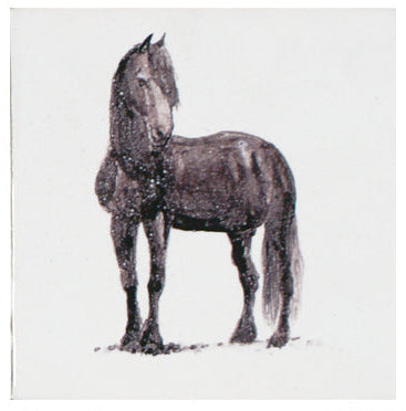 Paard 8 - 130 x 130