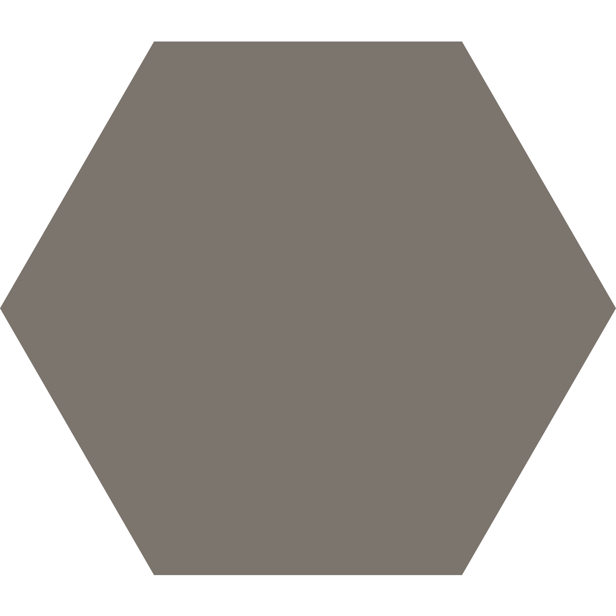 Winckelmans Hexagon 100 x 100