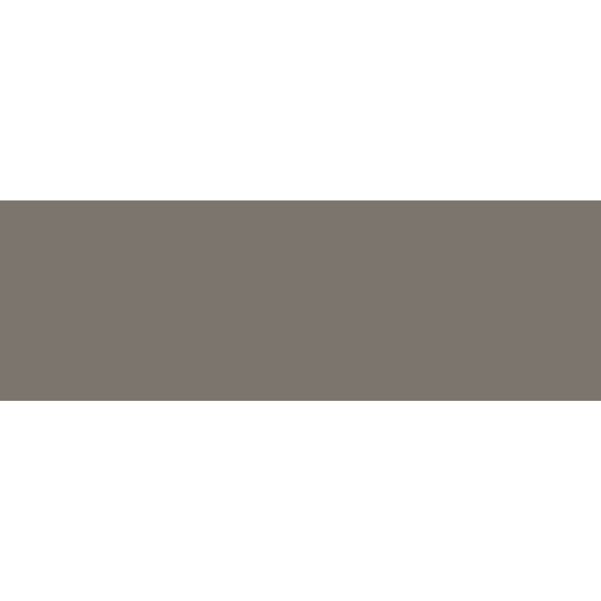 Winckelmans Rectangle 50 x 100