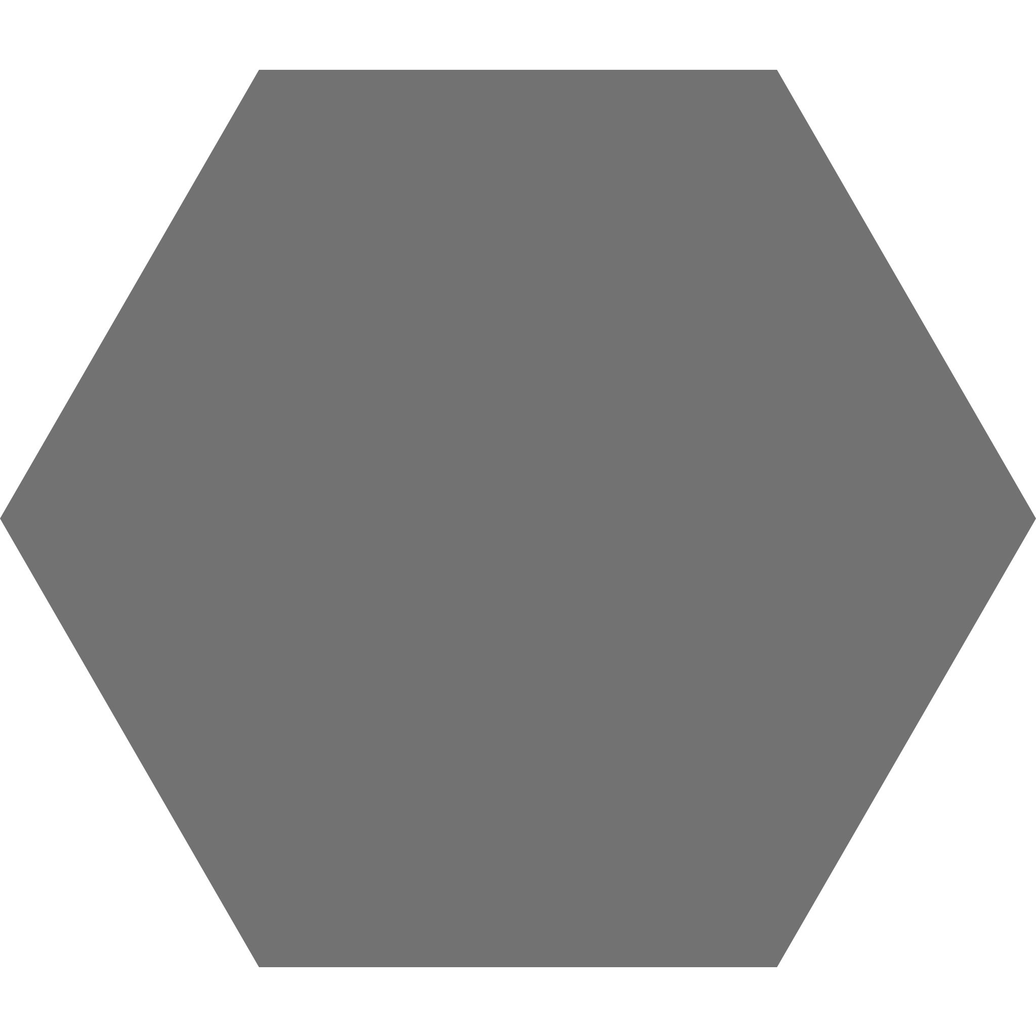 Winckelmans Hexagon 100 x 100