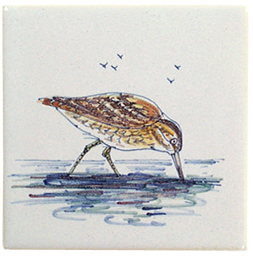 Watervogel 2 - 130 x 130