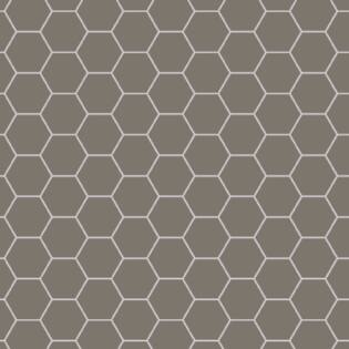 Winckelmans Hexagon 100 mm (op net 293 x 303 x 9)