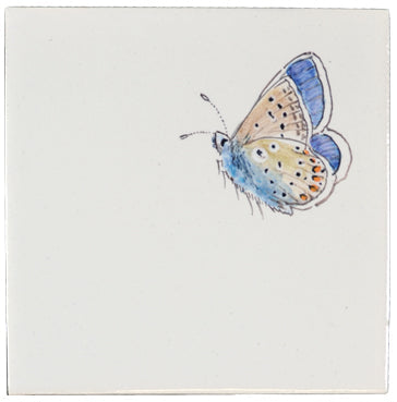 Vlinder groot 2 - 130 x 130