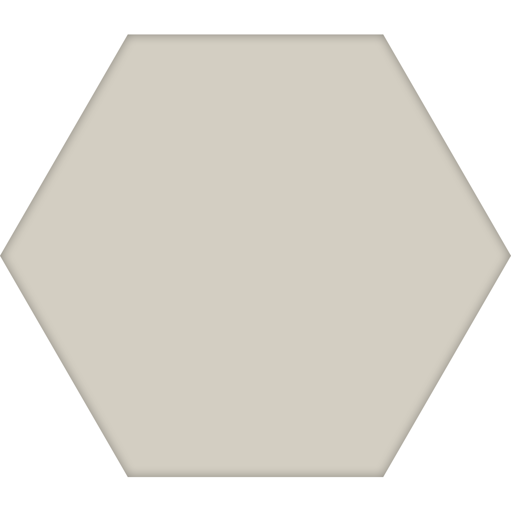 TopCer Hexagon 100 x 100