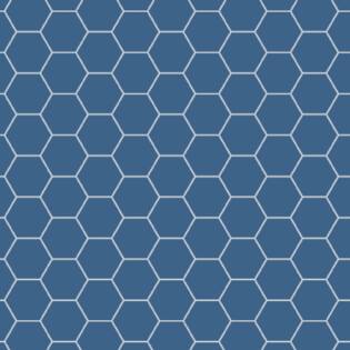 Winckelmans Hexagon 100 mm (op net 293 x 303 x 9)
