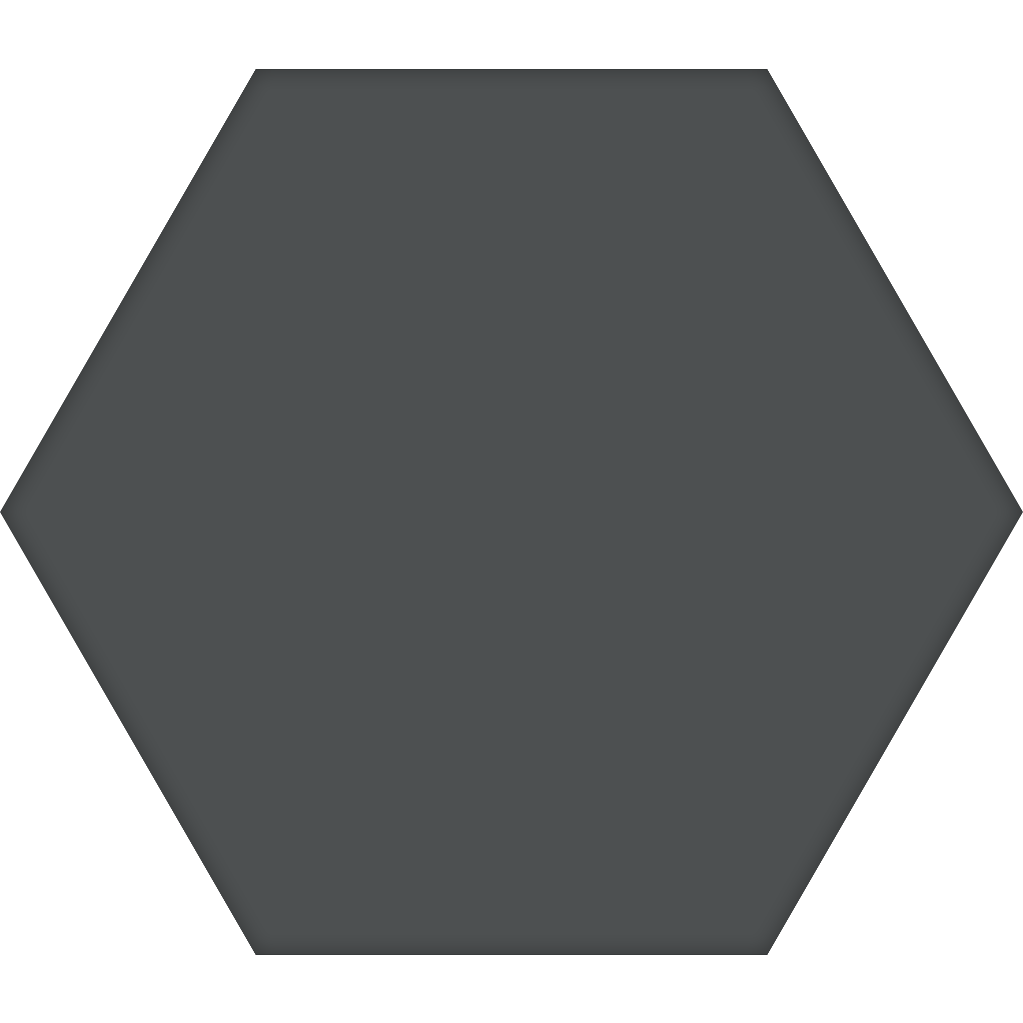 TopCer Hexagon 100 x 100