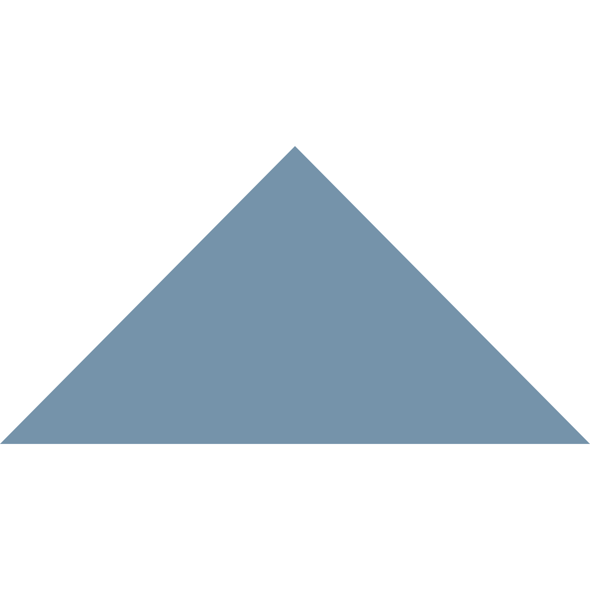 Winckelmans Triangle 100 x 100 x 140