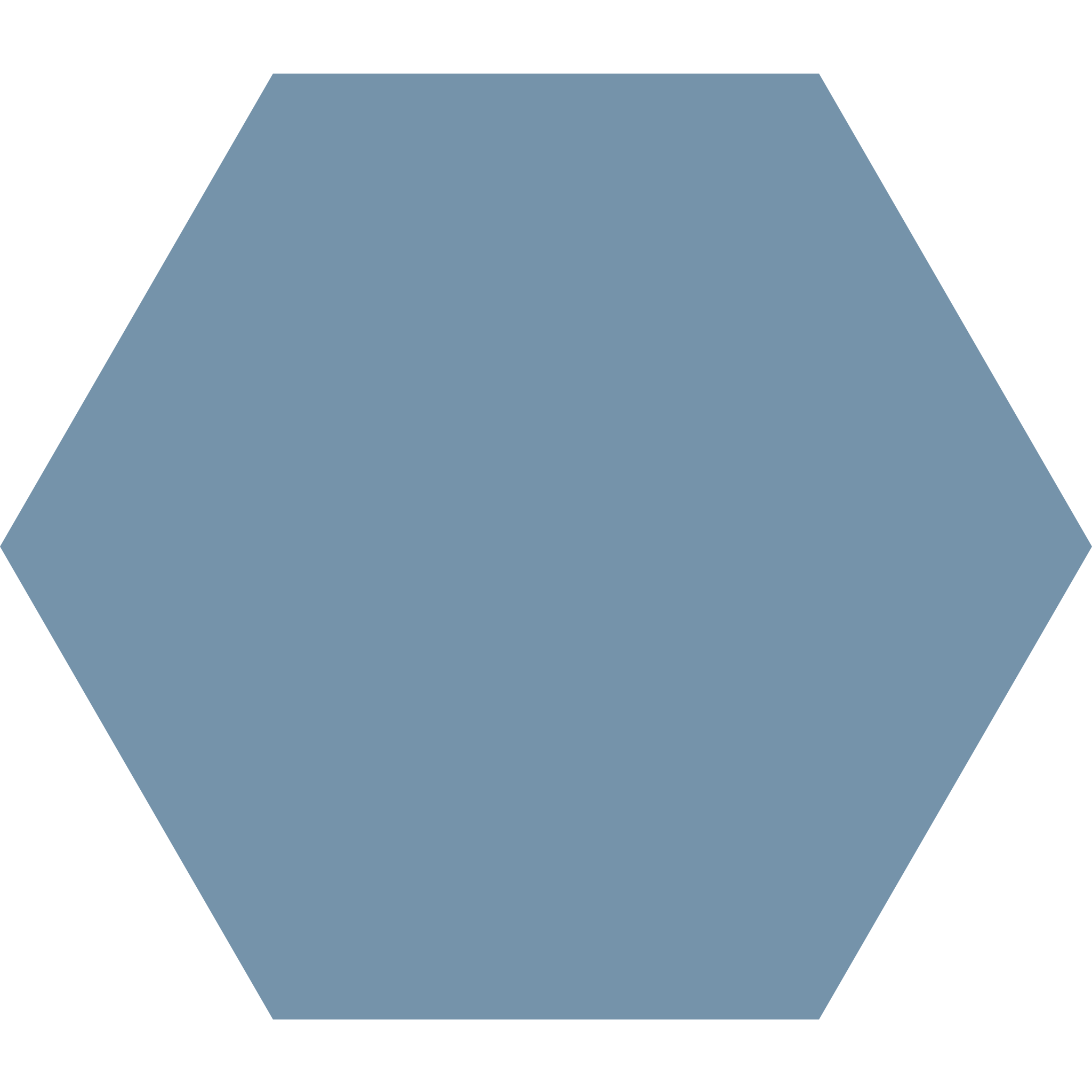 Winckelmans Hexagon 100 x 100