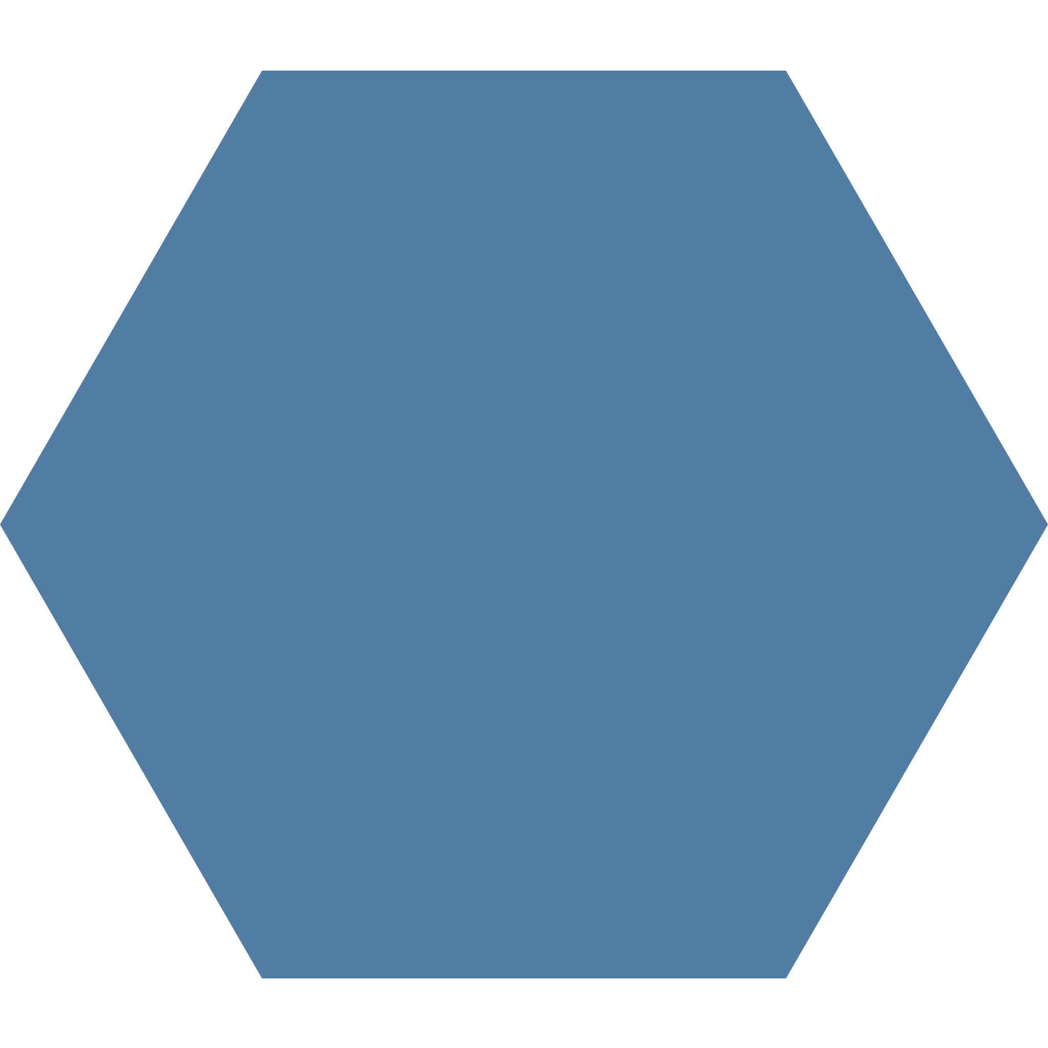 Winckelmans Hexagon 100 x 100