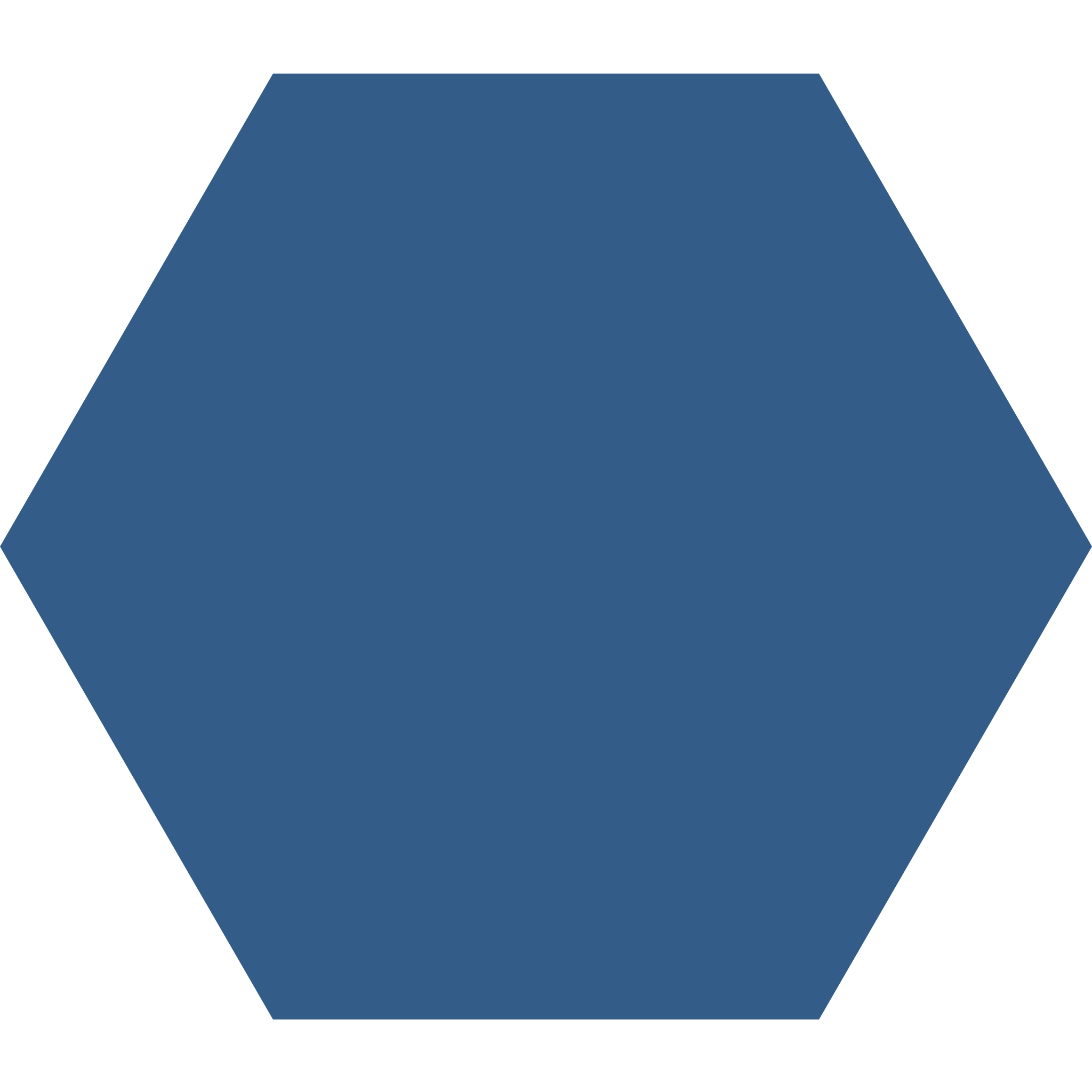 Winckelmans Hexagon 100 x 100
