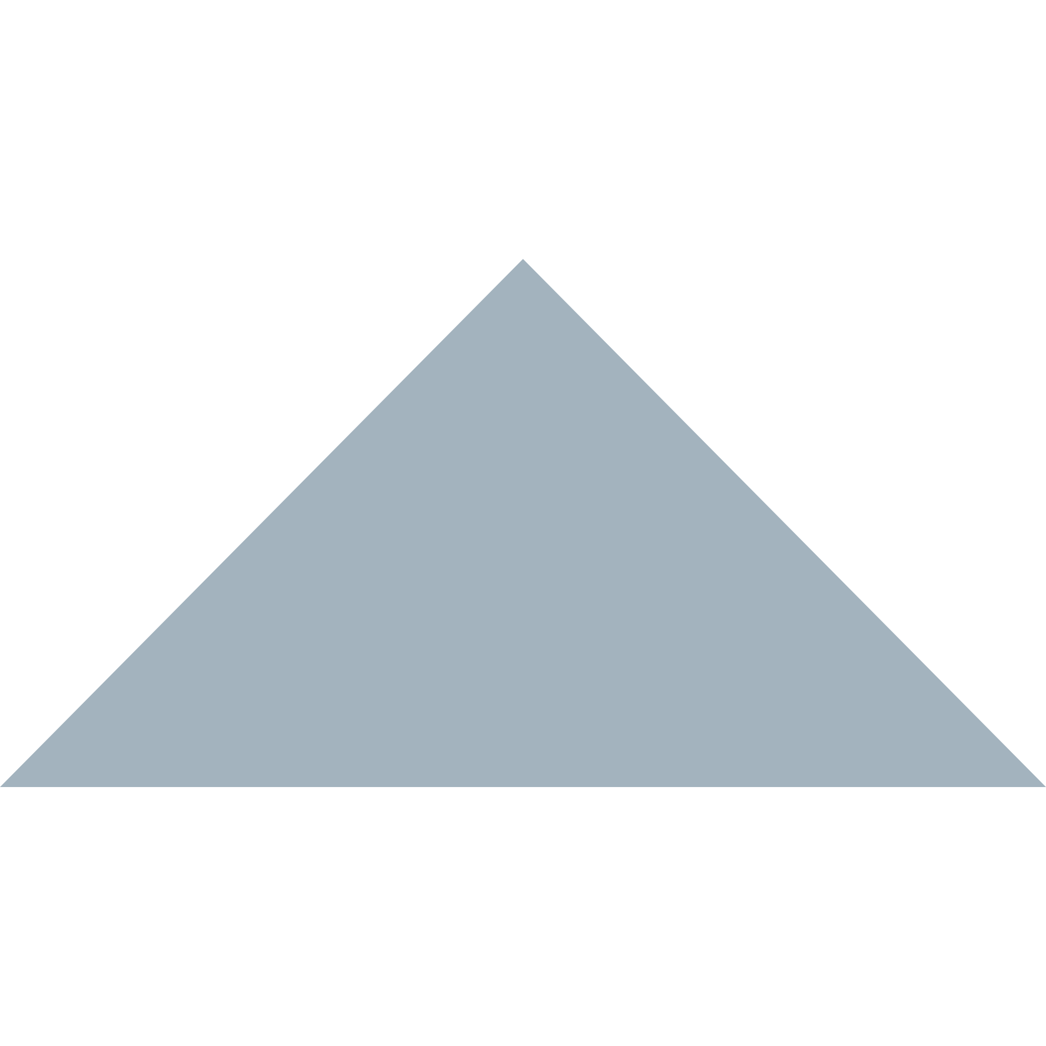 Winckelmans Triangle 100 x 100 x 140