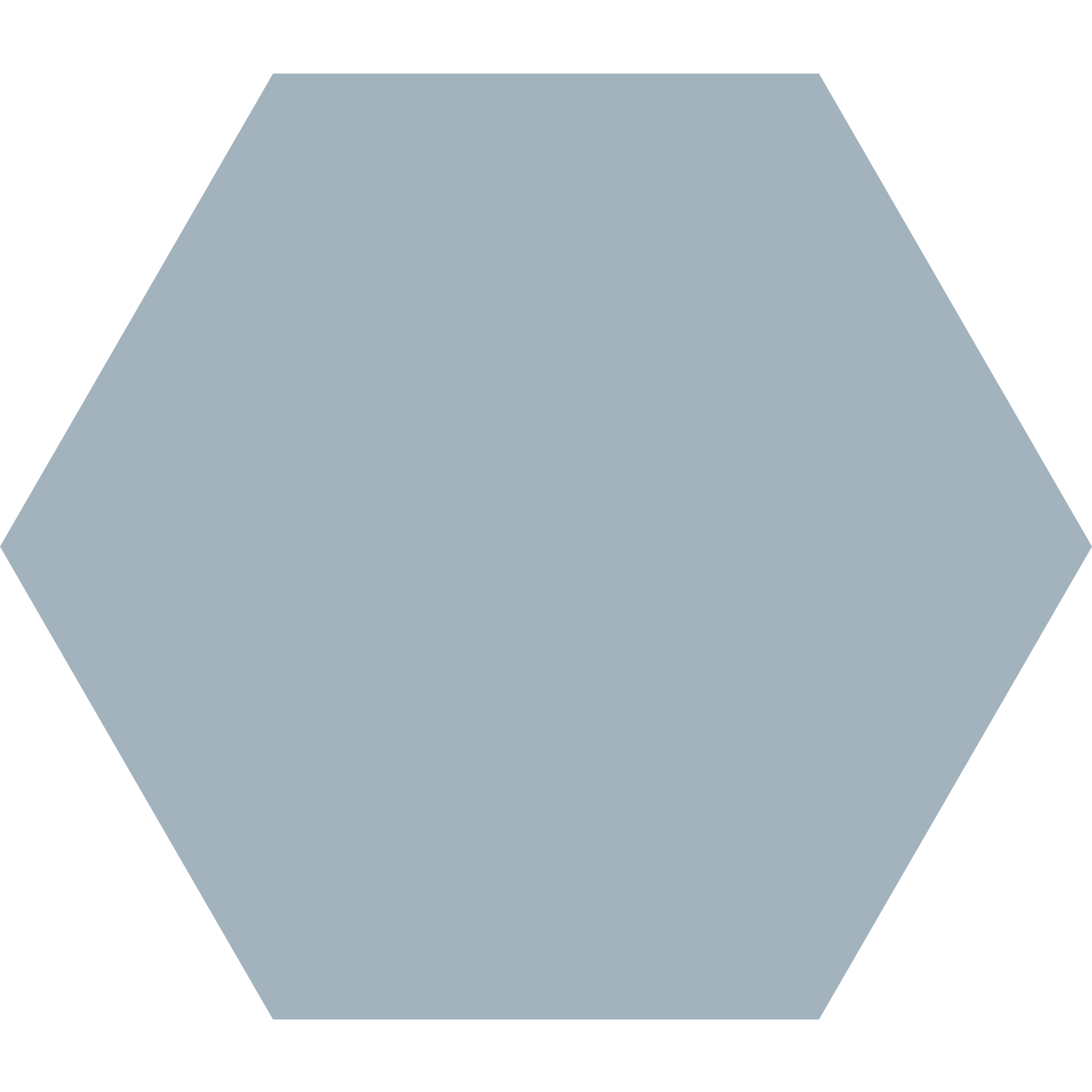 Winckelmans Hexagon 100 x 100
