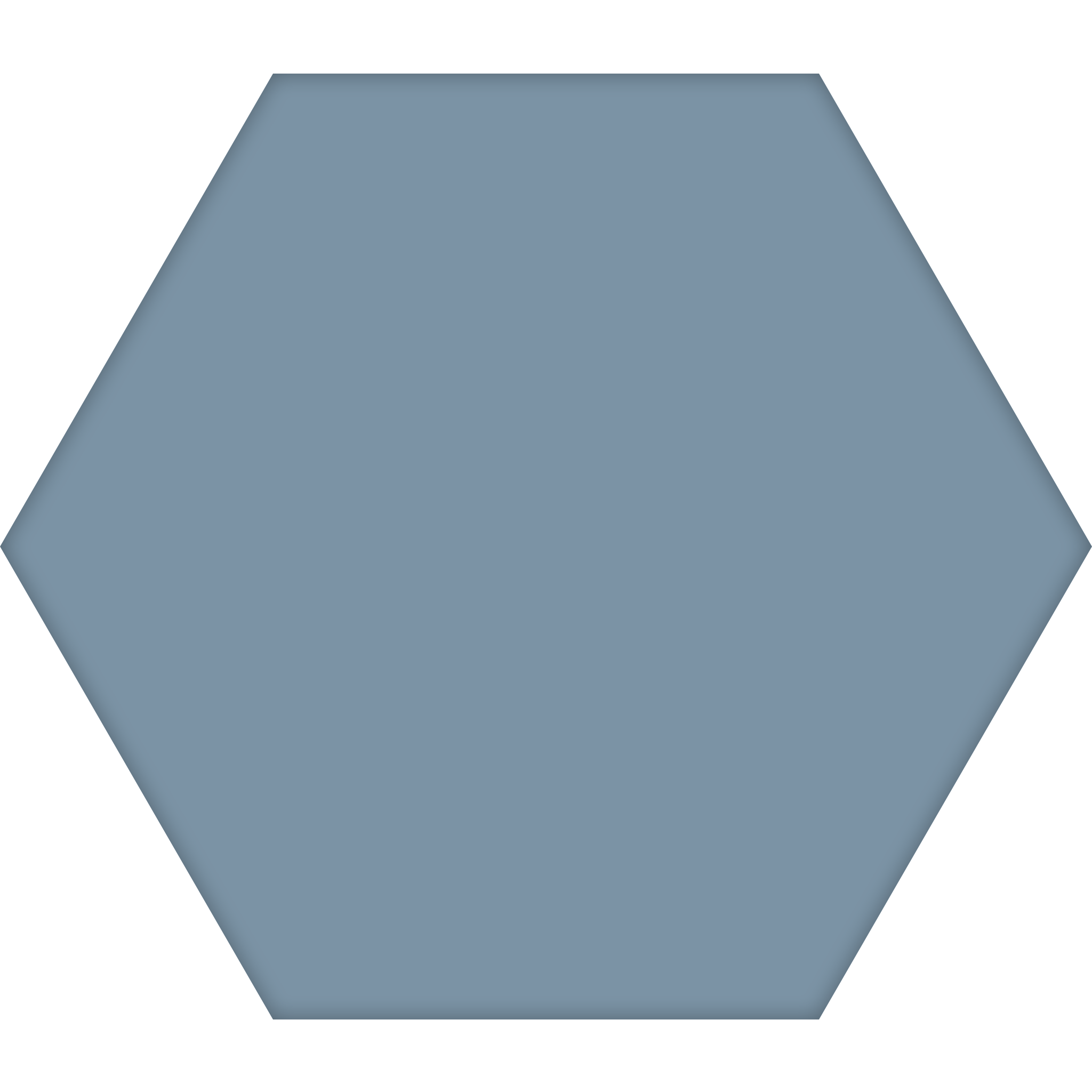 TopCer Hexagon 100 x 100