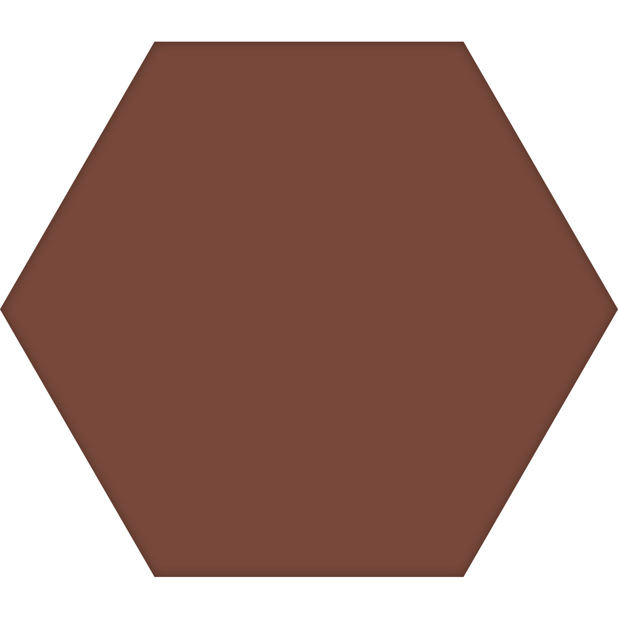 TopCer Hexagon 100 x 100