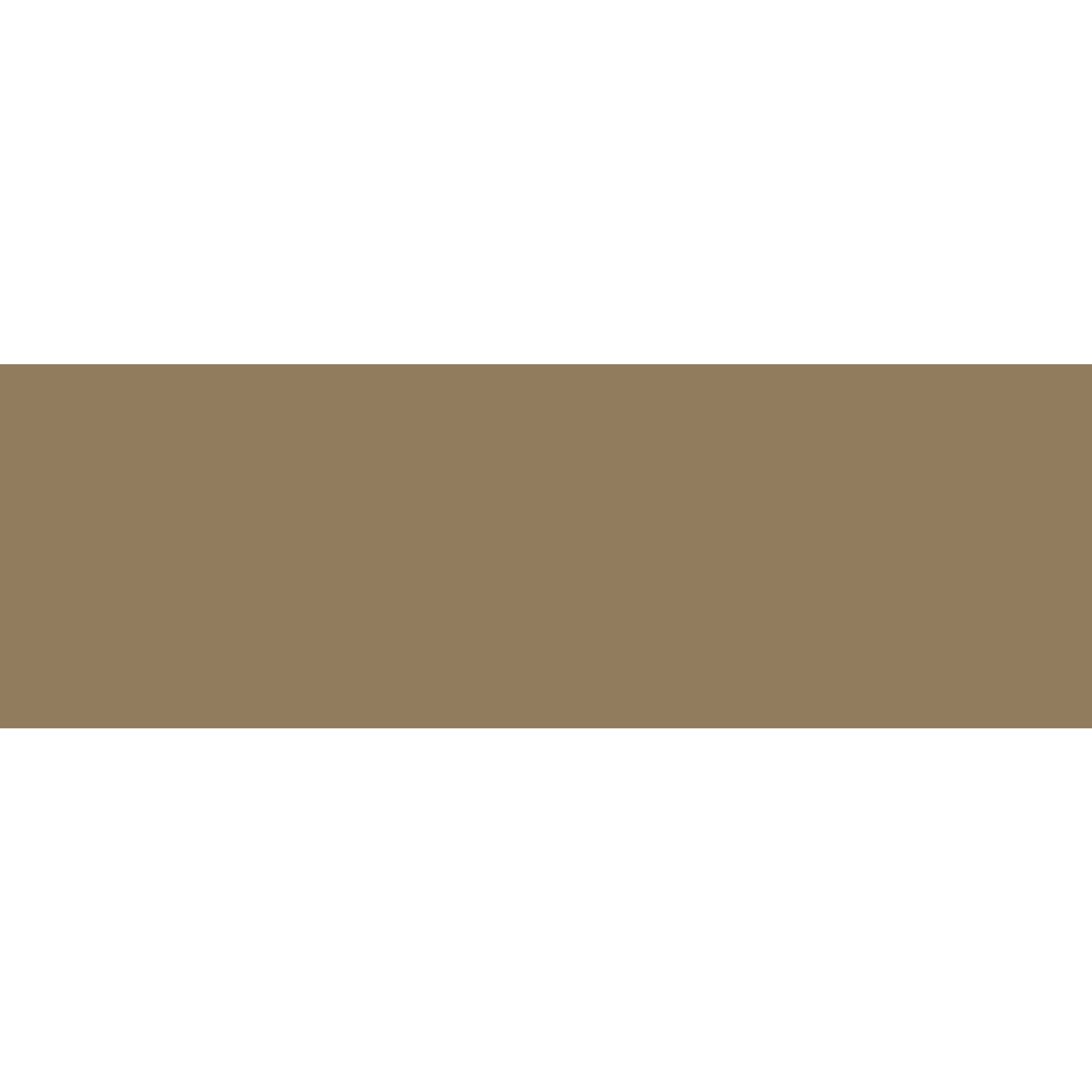 Winckelmans Rectangle 50 x 100