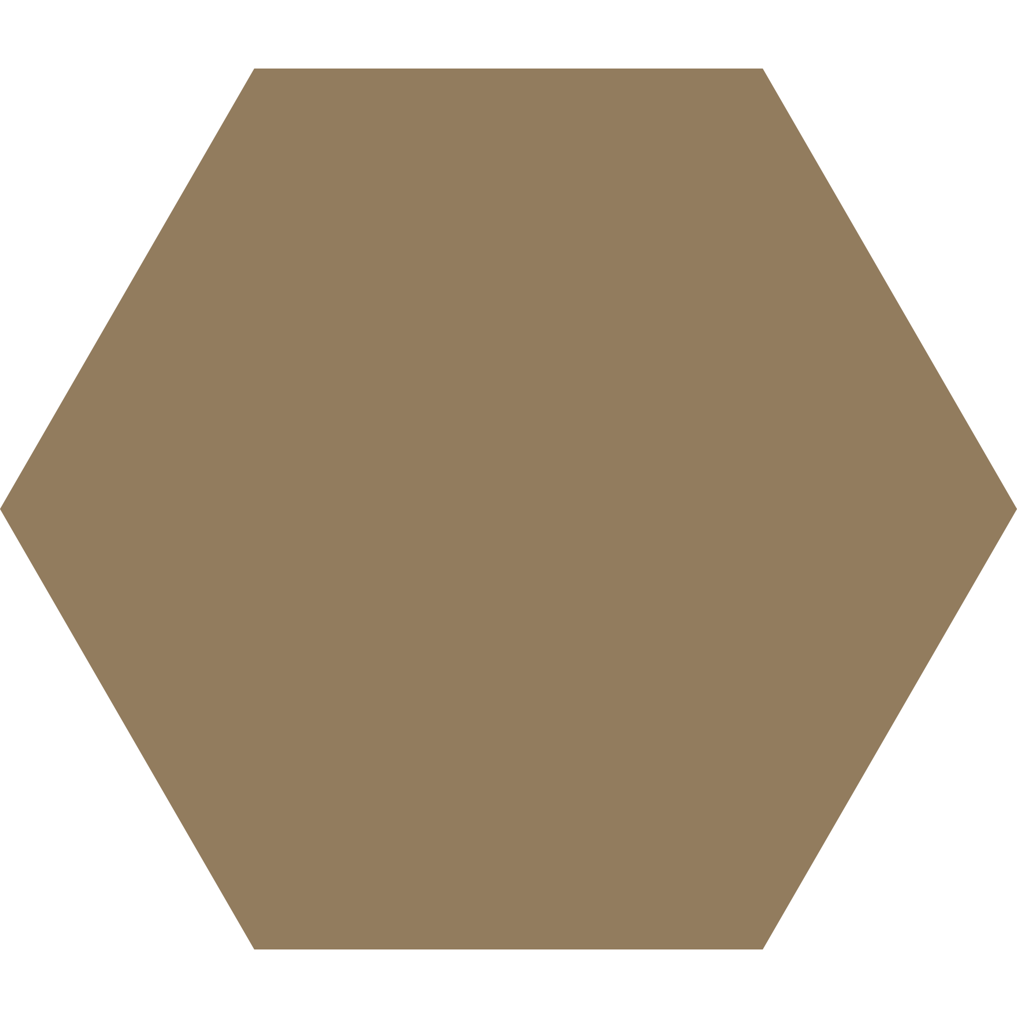 Winckelmans Hexagon 100 x 100
