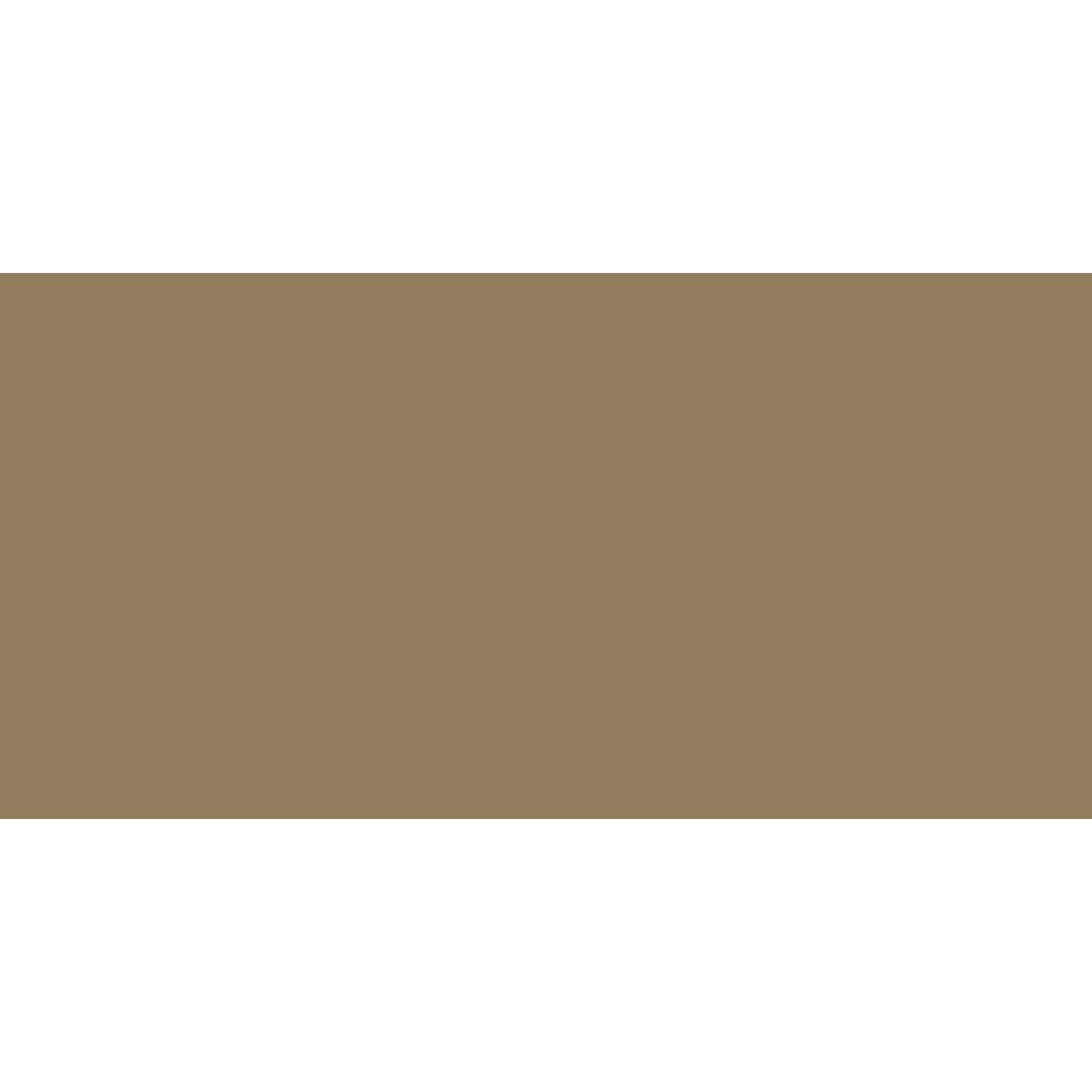 Winckelmans Rectangle 100 x 200