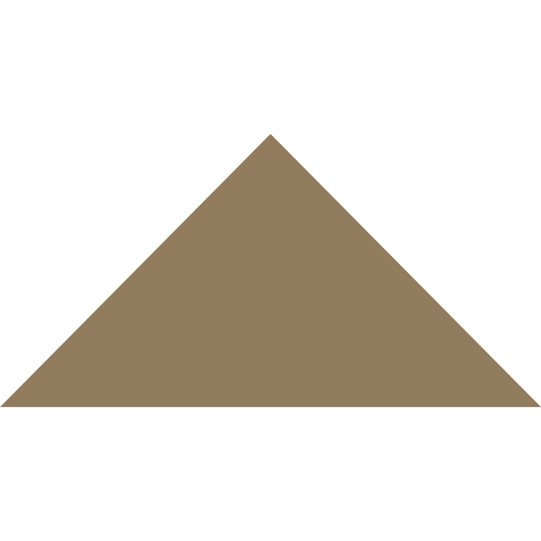 Winckelmans Triangle 100 x 100 x 140