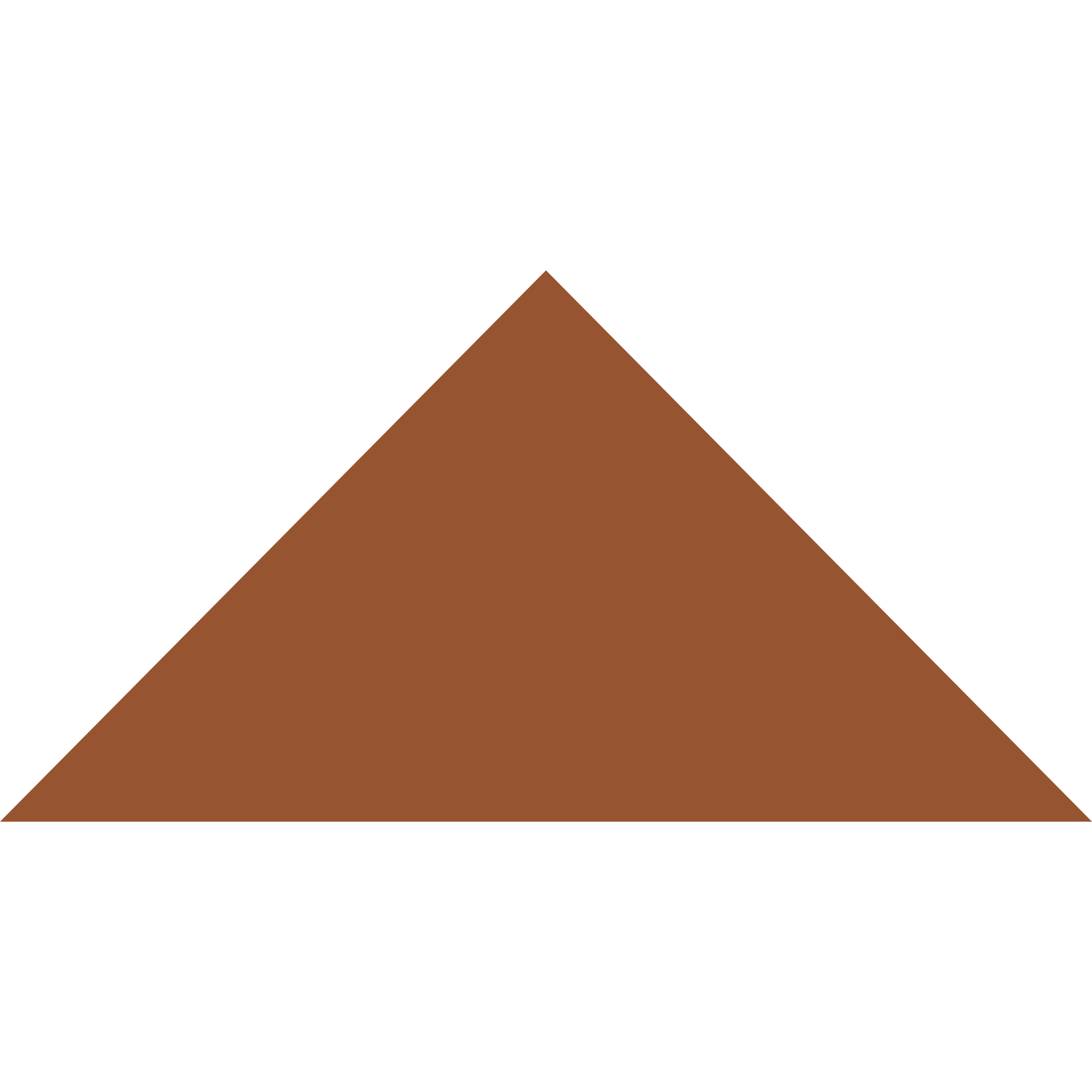 Winckelmans Triangle 100 x 100 x 140