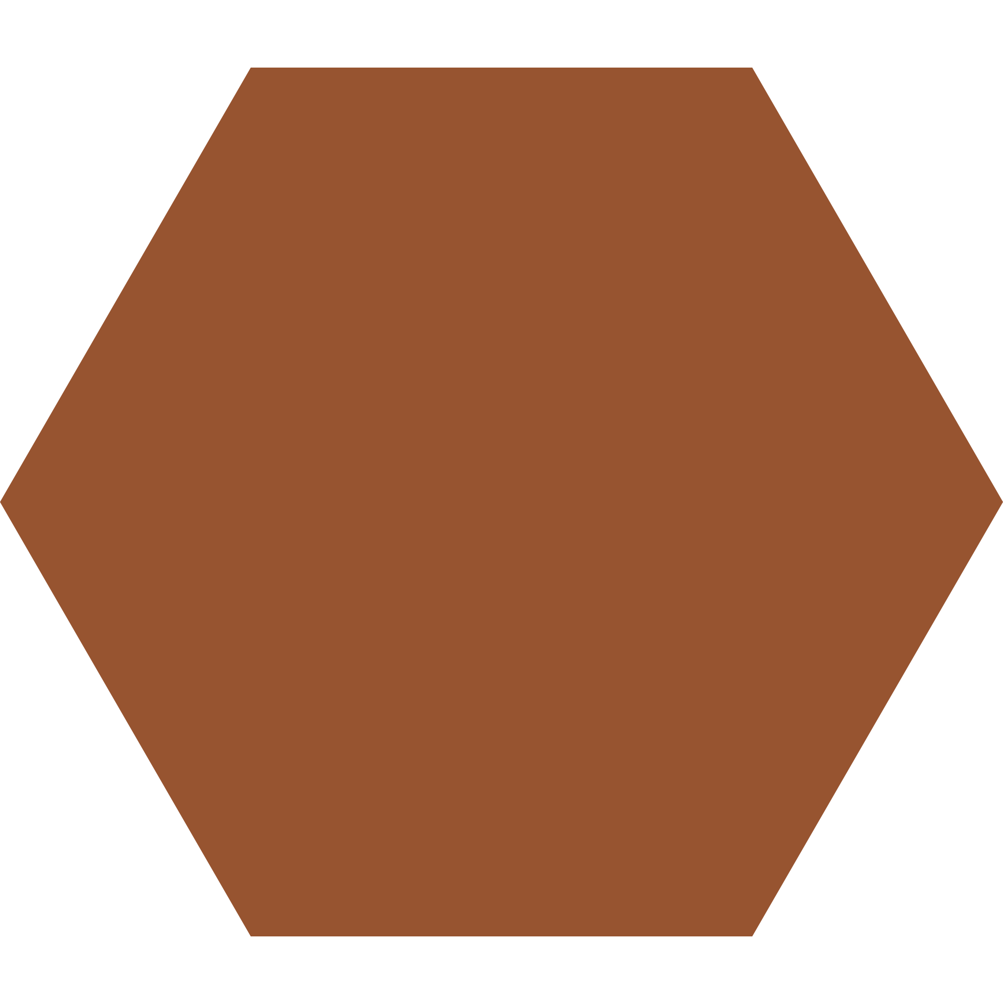 Winckelmans Hexagon 100 x 100
