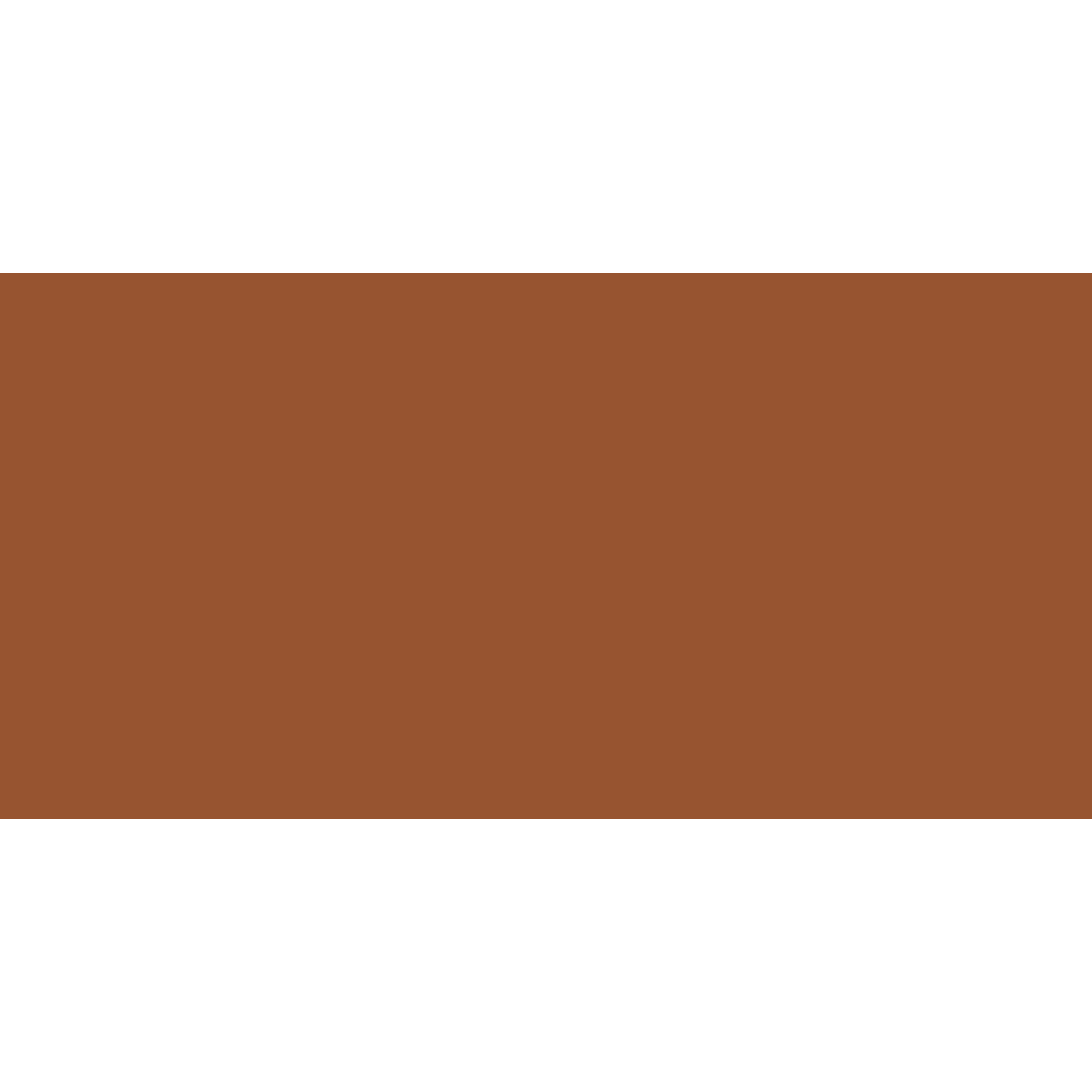 Winckelmans Rectangle 100 x 200