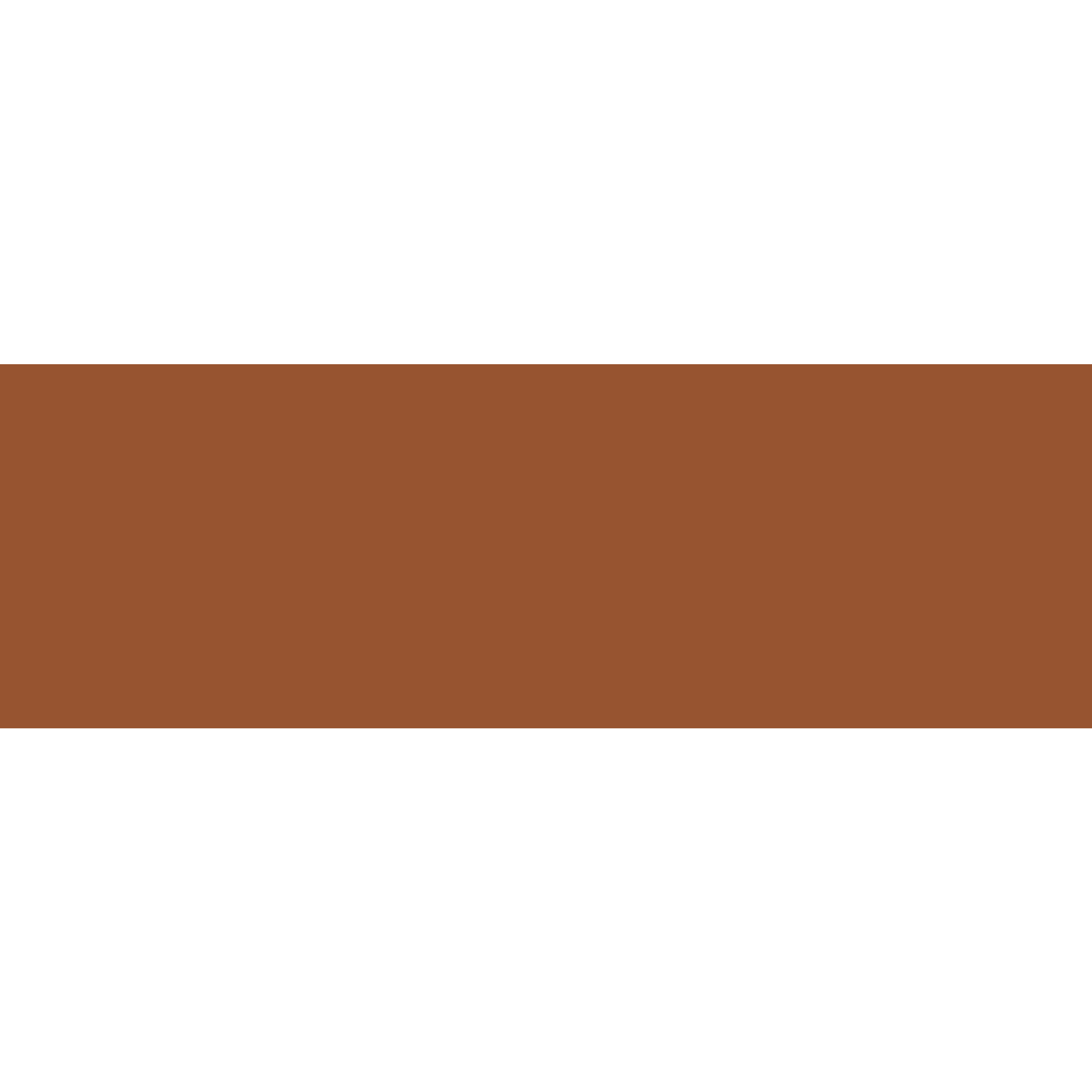 Winckelmans Rectangle 50 x 100