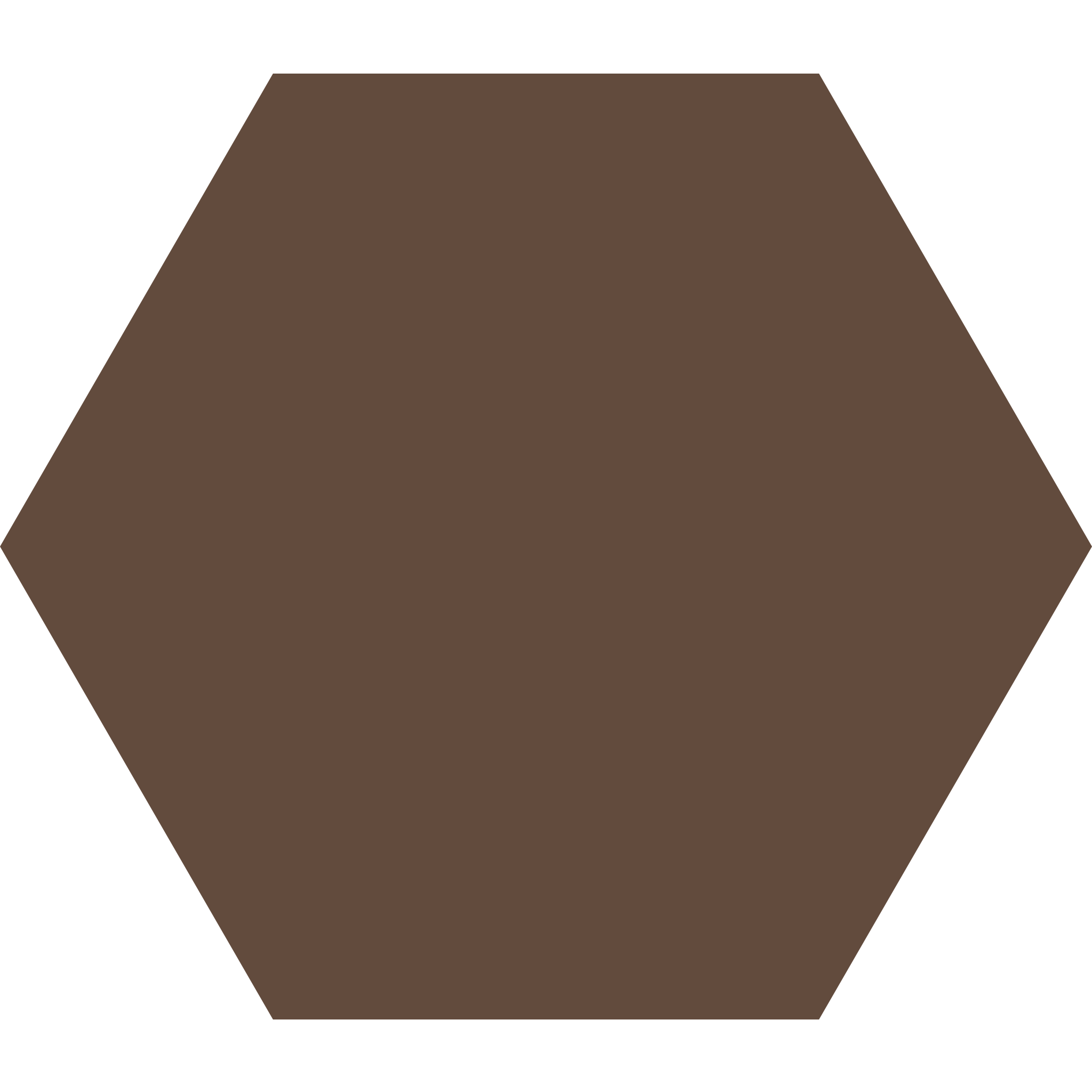 Winckelmans Hexagon 100 x 100