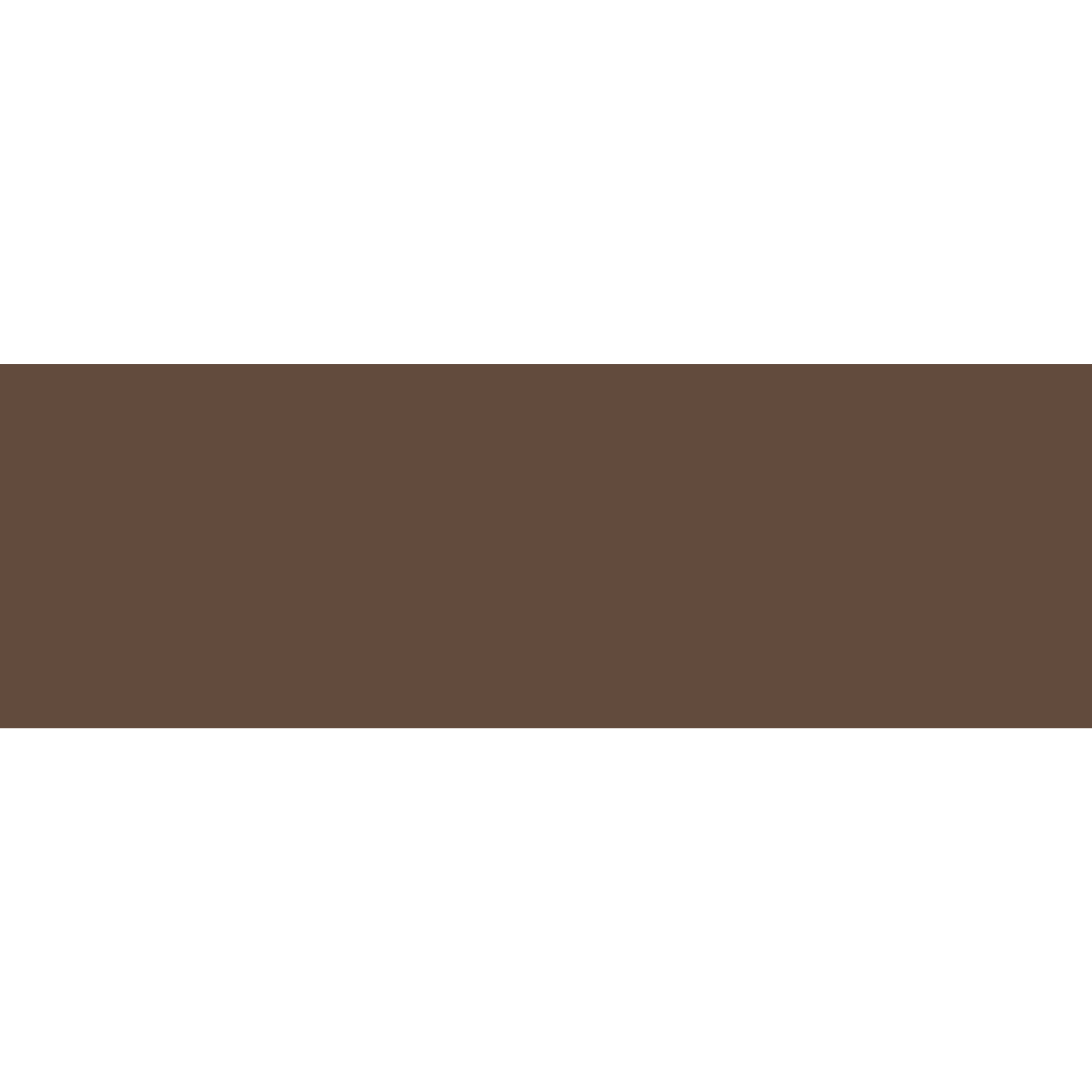 Winckelmans Rectangle 50 x 100