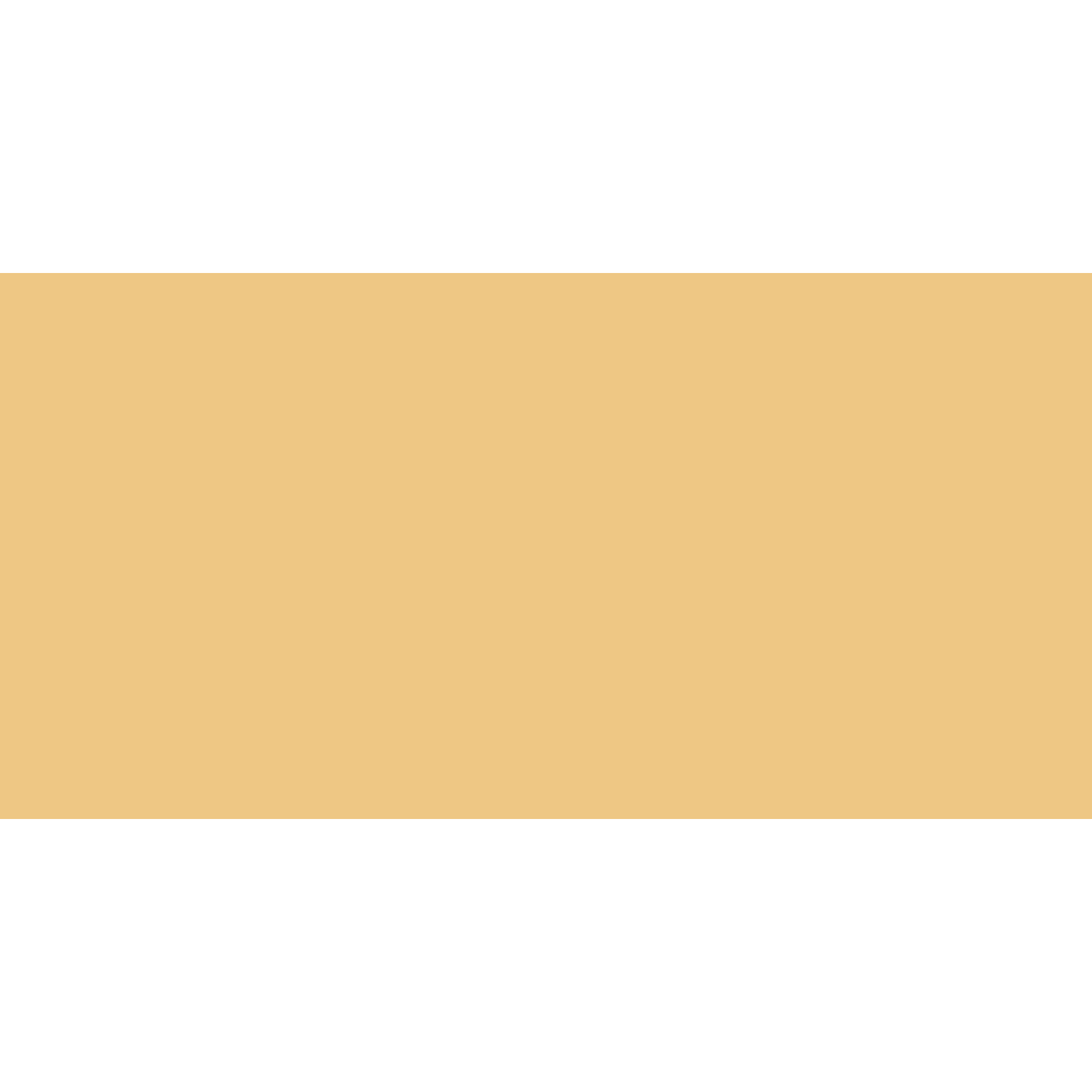 Winckelmans Rectangle 100 x 200