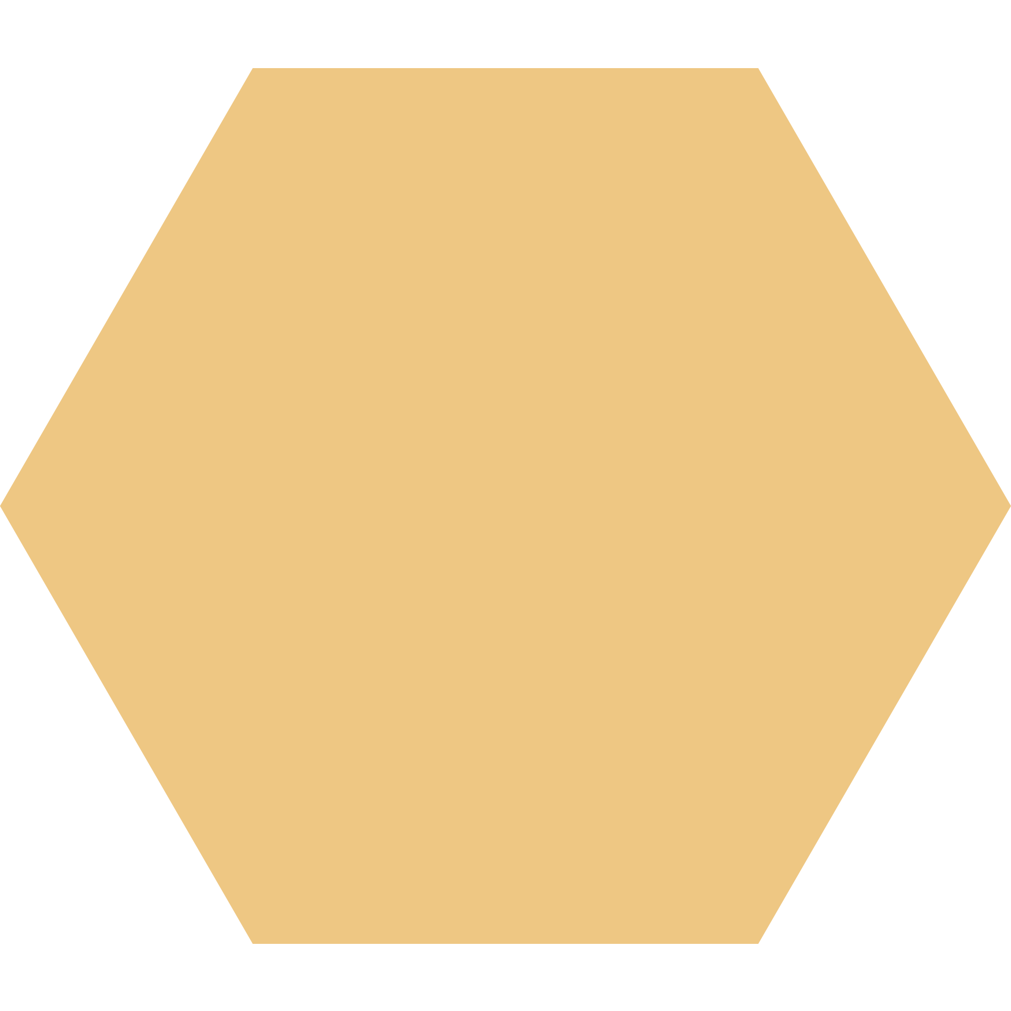 Winckelmans Hexagon 100 x 100