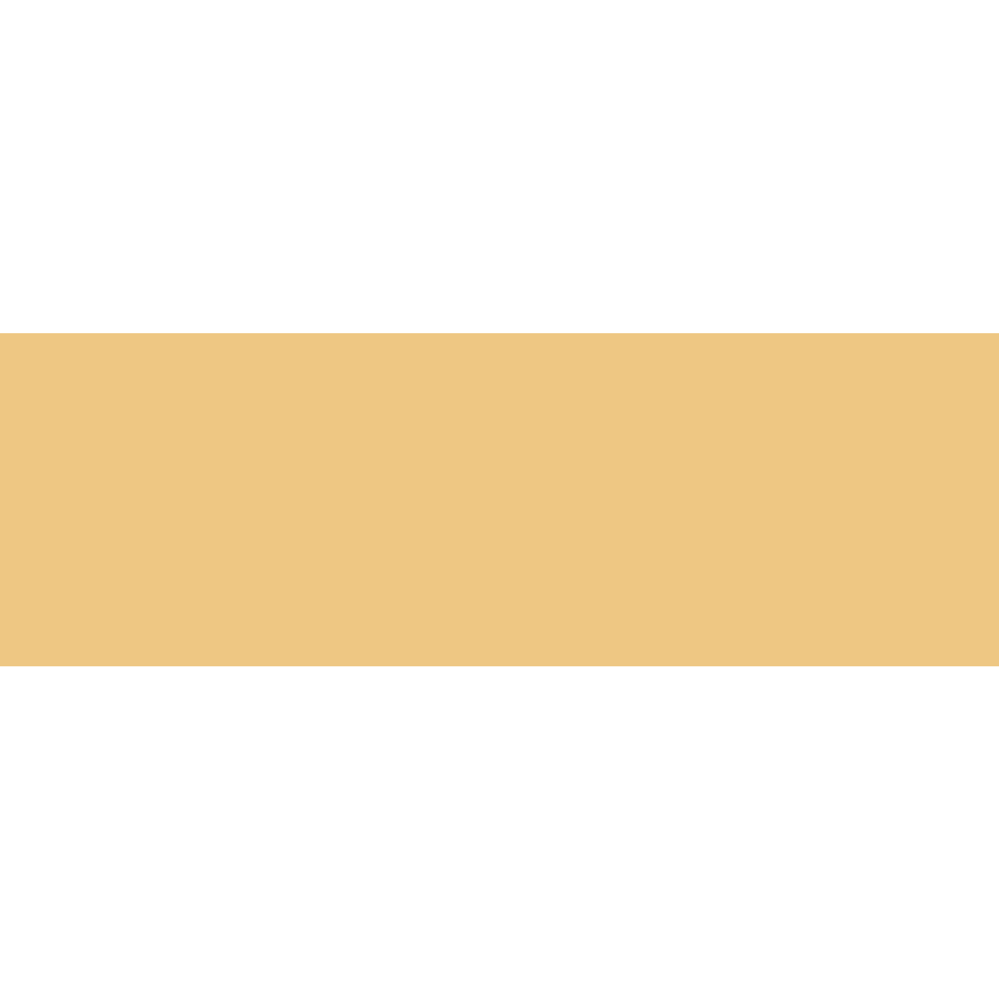 Winckelmans Rectangle 50 x 100