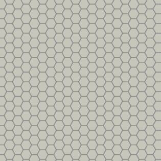 Winckelmans Hexagon 50 mm (op net 295 x 281 x 5)