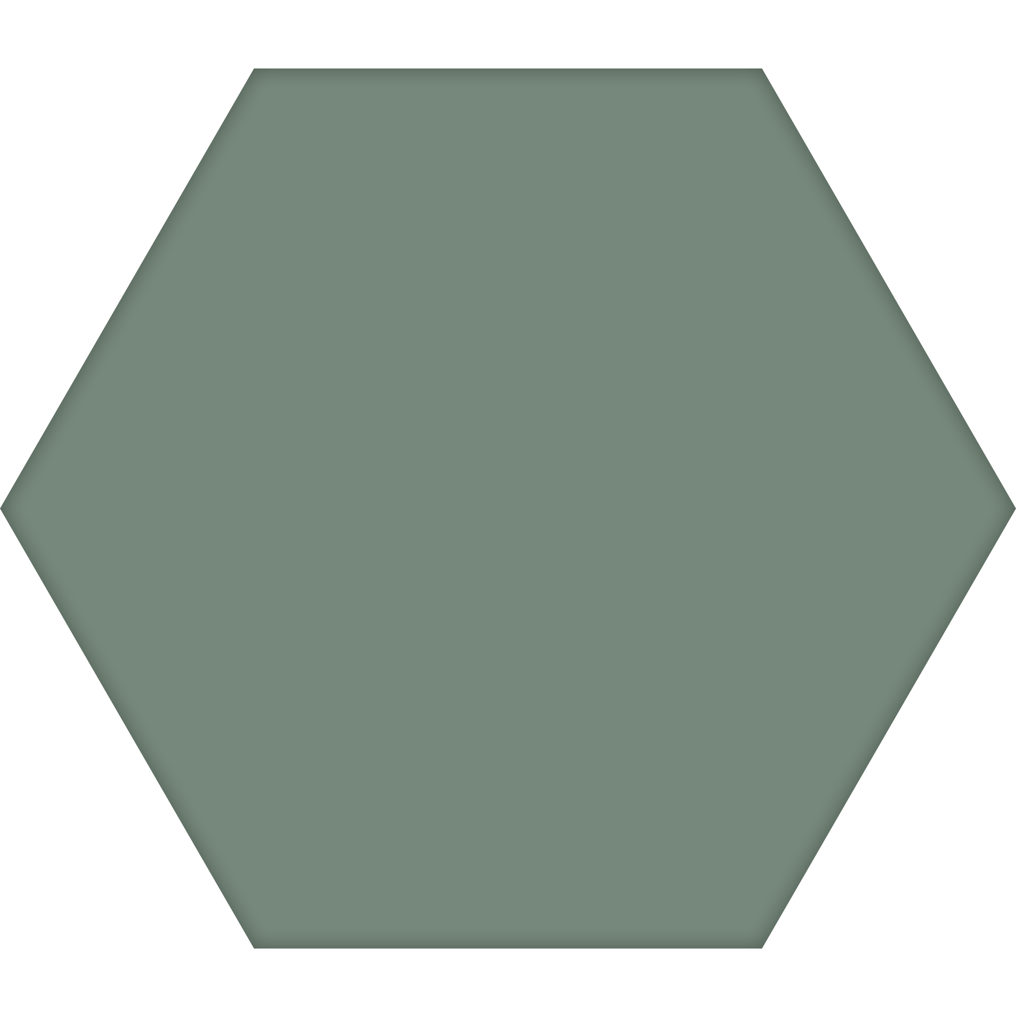 TopCer Hexagon 100 x 100