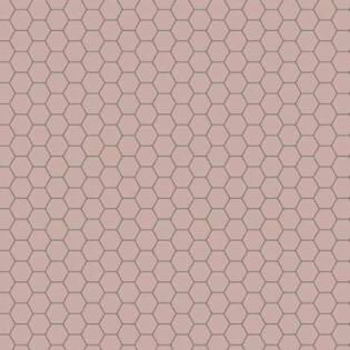 Winckelmans Hexagon 50 mm (op net 295 x 281 x 5)