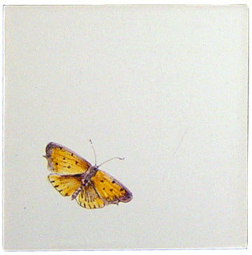 Vlinder klein 5 - 130 x 130