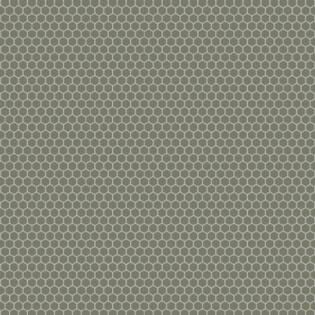 Winckelmans Hexagon 25 mm (op net 295 x 280 x 3,8)