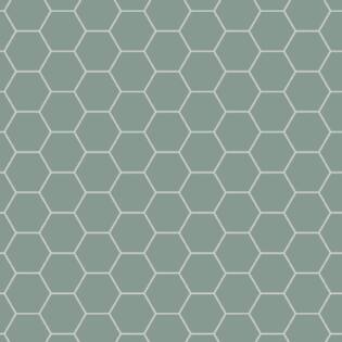 Winckelmans Hexagon 100 mm (op net 293 x 303 x 9)