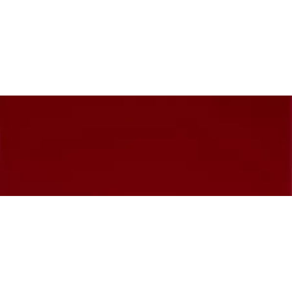 Clear Glass 300 x 100 x 6