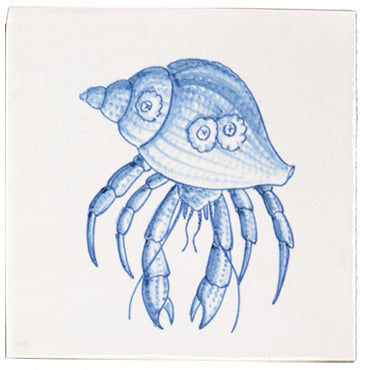 Heremietkreeft 130 x 130