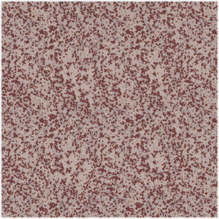 Winckelmans Square 20 mm (op net 308 x 308 x 3,8)