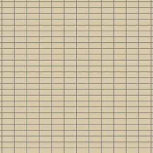 Winckelmans Rectangles 23,5 x 50 mm (Linear Pattern op net 318 x 318 x 5)