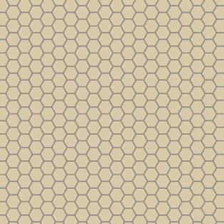 Winckelmans Hexagon 50 mm (op net 295 x 281 x 5)
