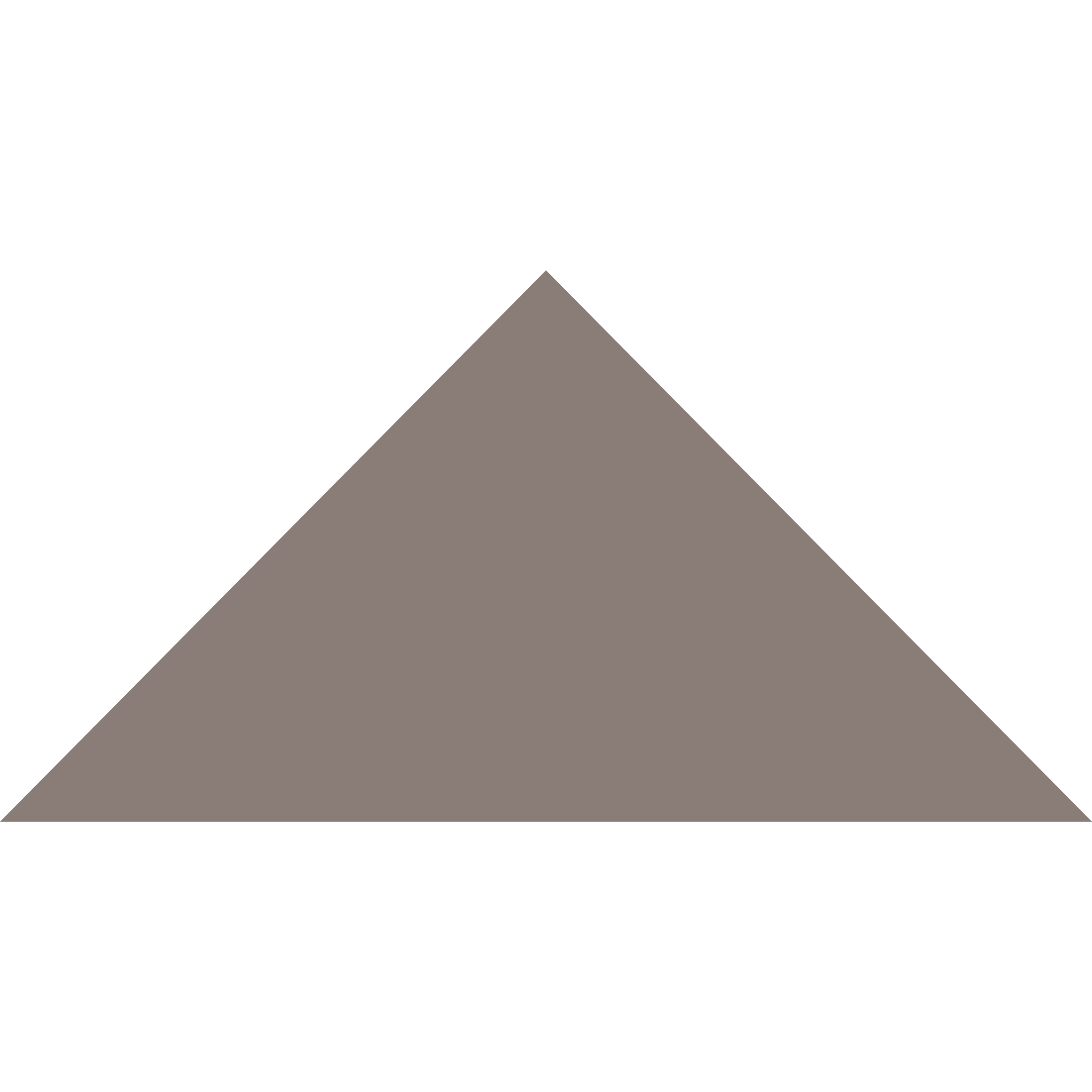 Winckelmans Triangle 100 x 100 x 140