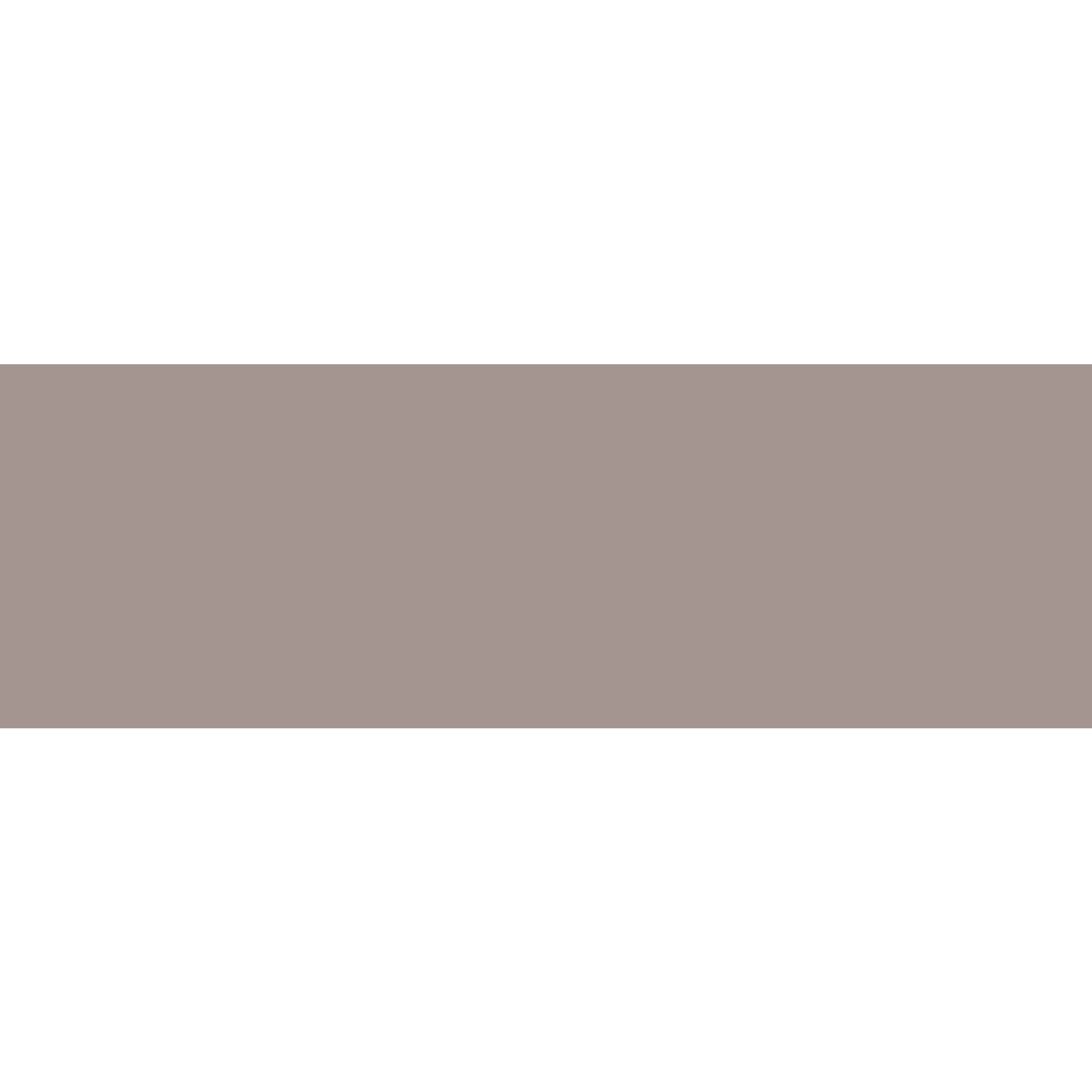 Winckelmans Rectangle 50 x 100