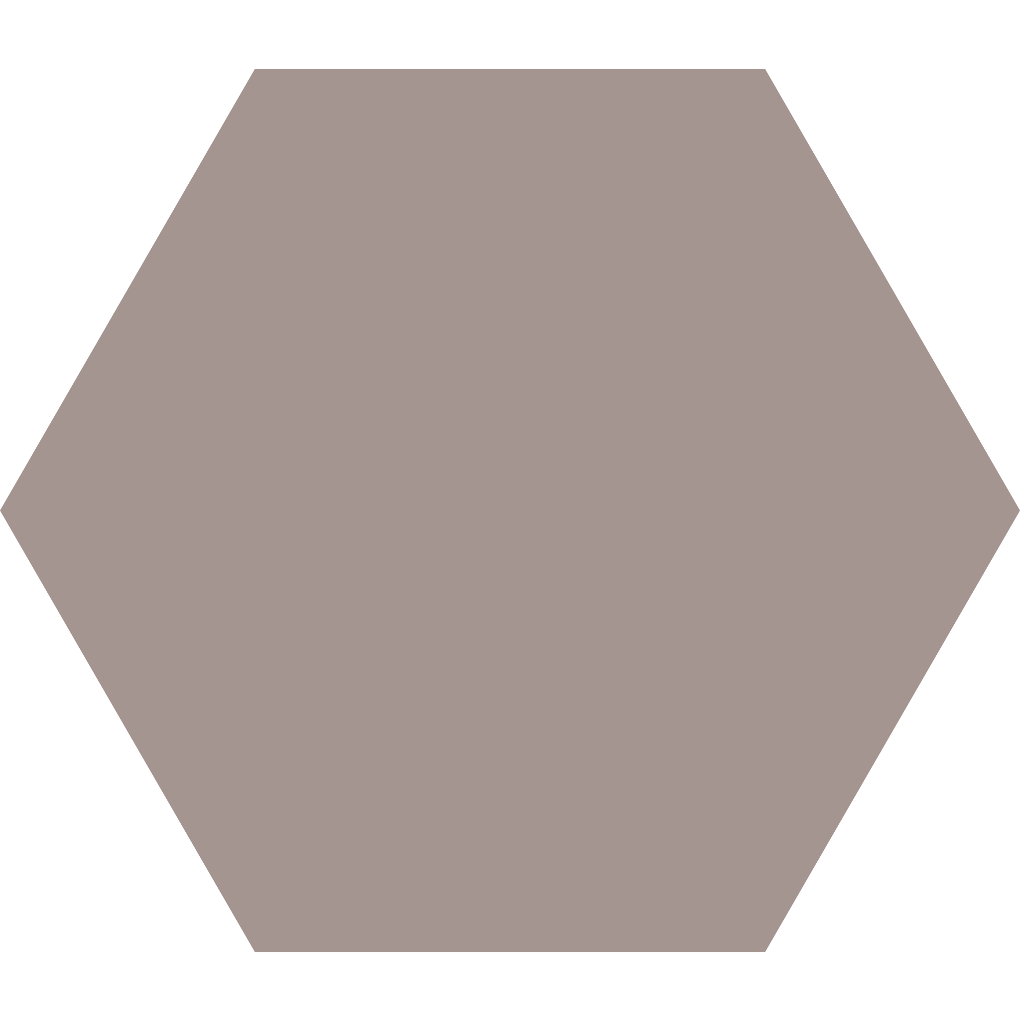 Winckelmans Hexagon 100 x 100