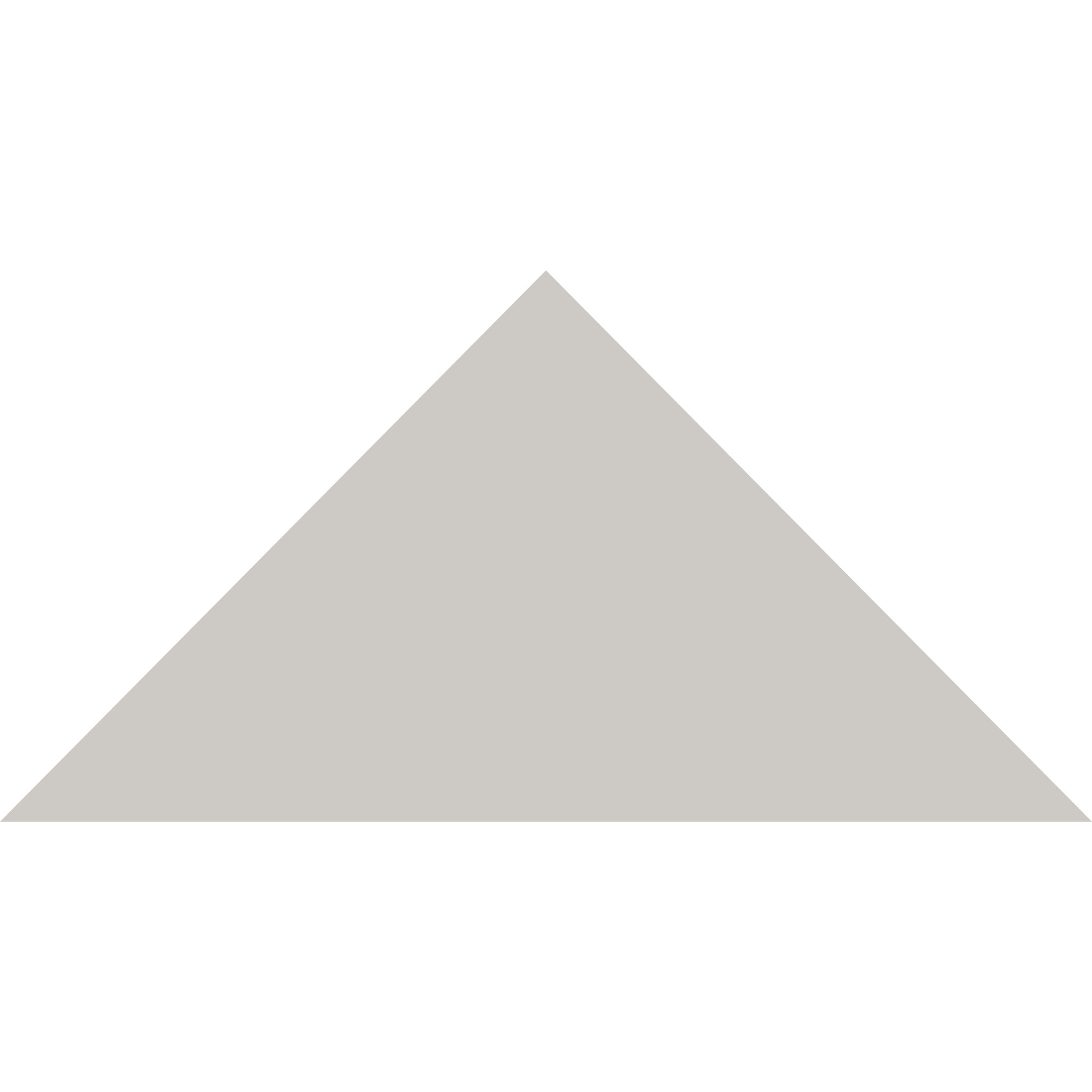 Winckelmans Triangle 100 x 100 x 140